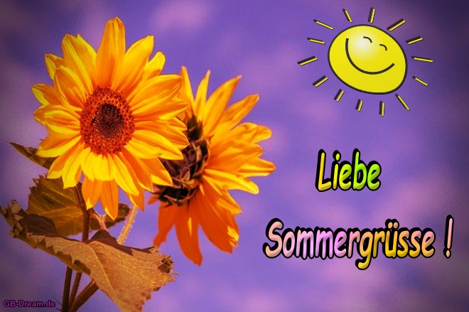 Liebe Sommergrüsse Sonne Sonnenblume