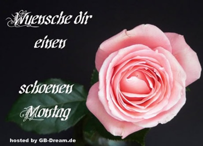 GBPic Montag