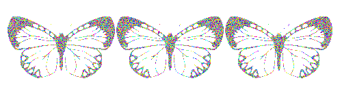 Schmetterlinge Trennelement für GBs