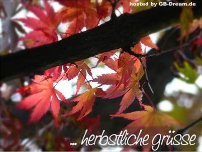 Herbst GB-Pic