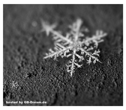 Gaestebuch Bild Winter