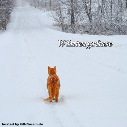 Wintergruss Gaestebuchbild