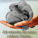 Freitag Bilder