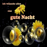 Gute Nacht Bilder